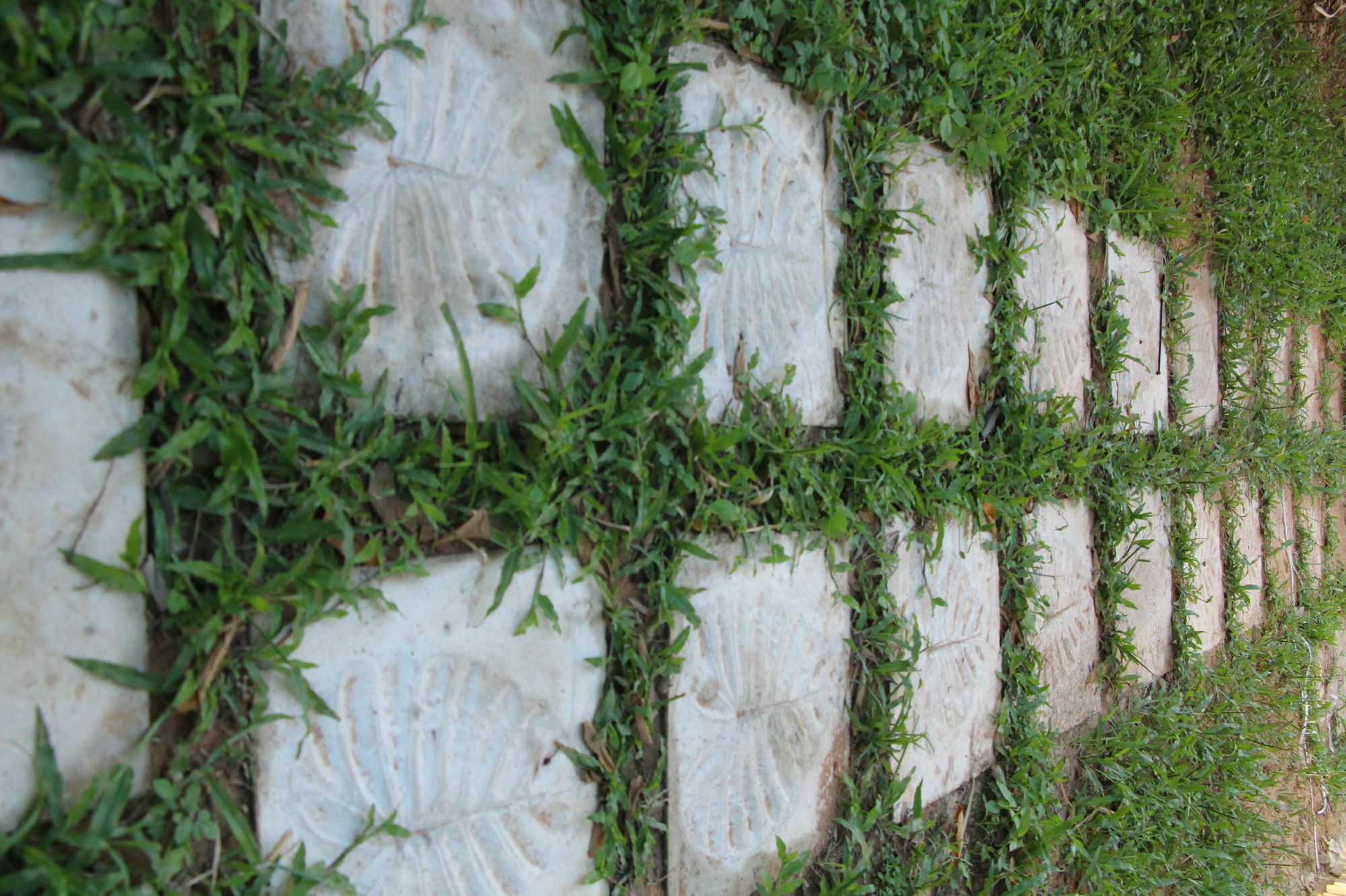 Areca Stay Siem Reap Esterno foto